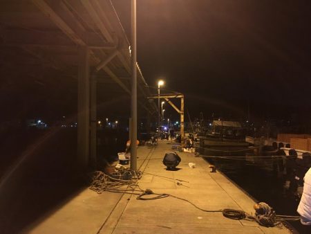 イワシ、アジ、サバ